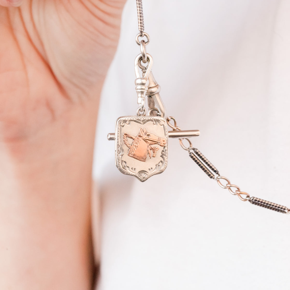 Harriet Victorian Equestrian Horse Head Locket
