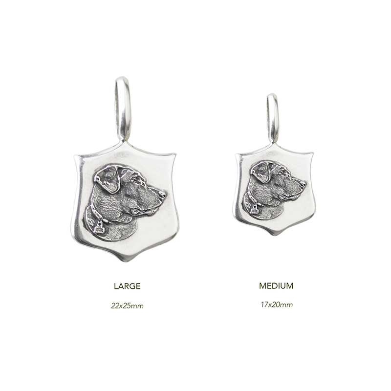 Custom Elias Pet Medallions