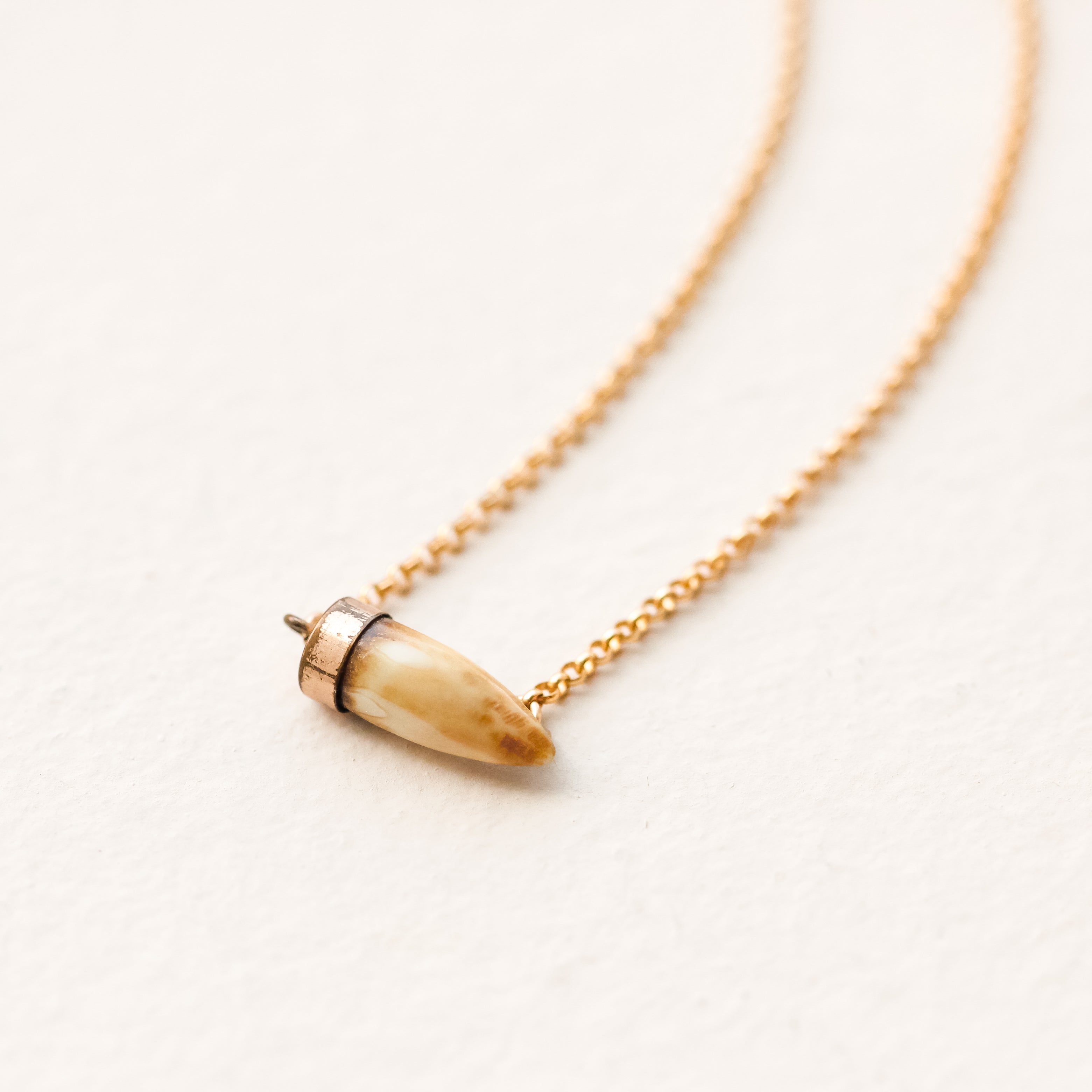 Victorian Hunter's Tooth Necklace