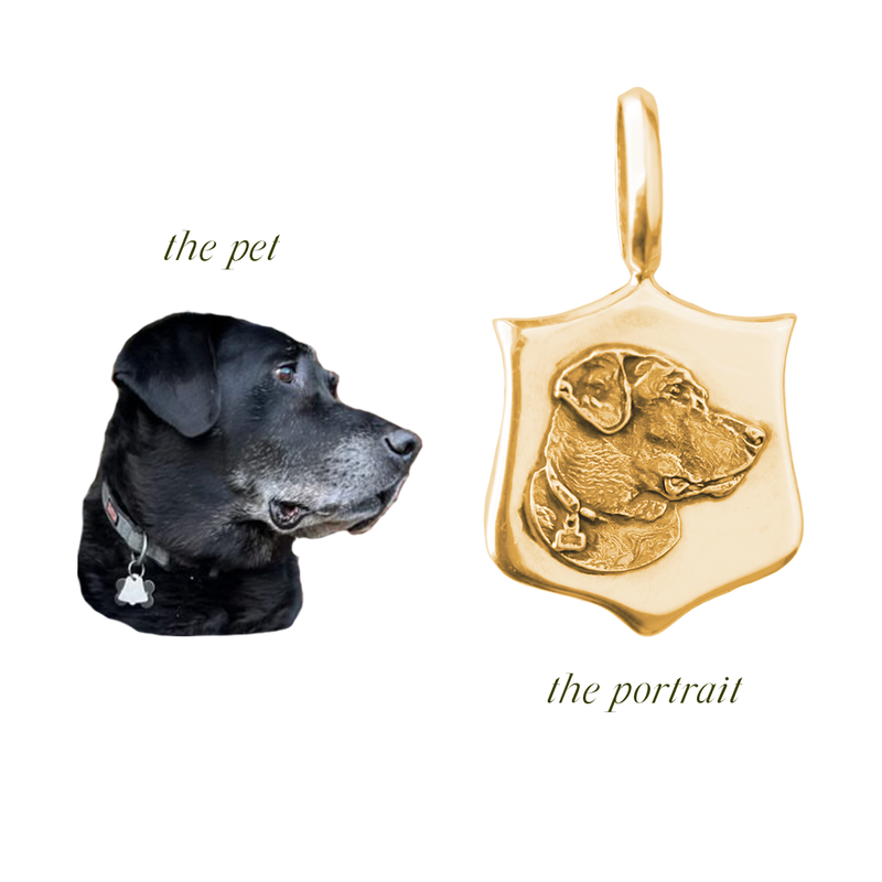 Custom Elias Pet Medallions
