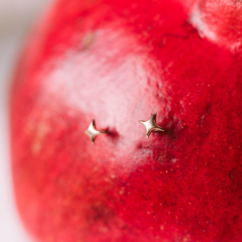 two gold star post earrings in the side of a pomegranate 